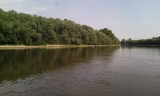 Tisza 