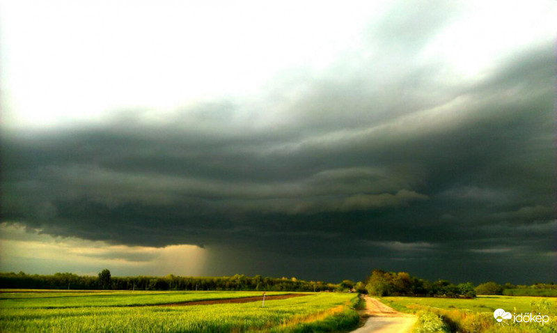 Vihar a mezőn