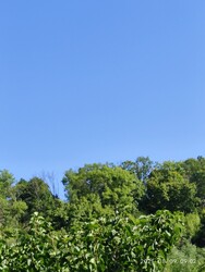 Miskolc