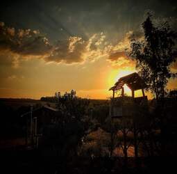 Naplemente