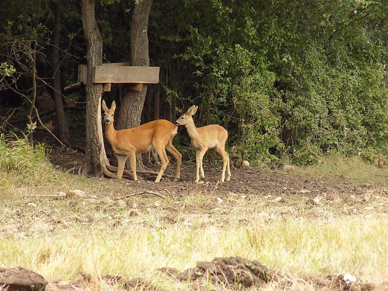 Anyuci a gyermekével.