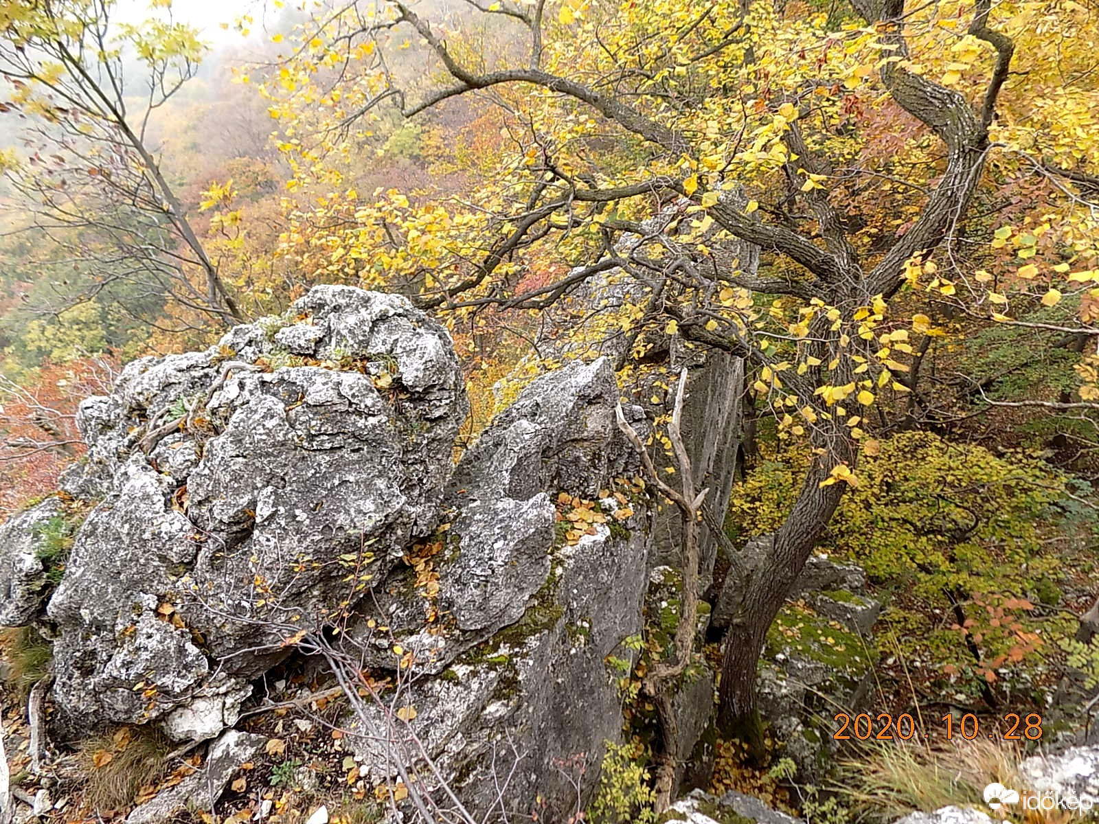 Őszi színek a szirten.