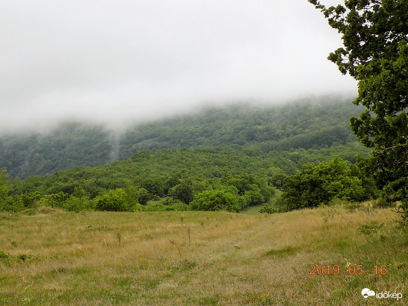 Puha takaró
