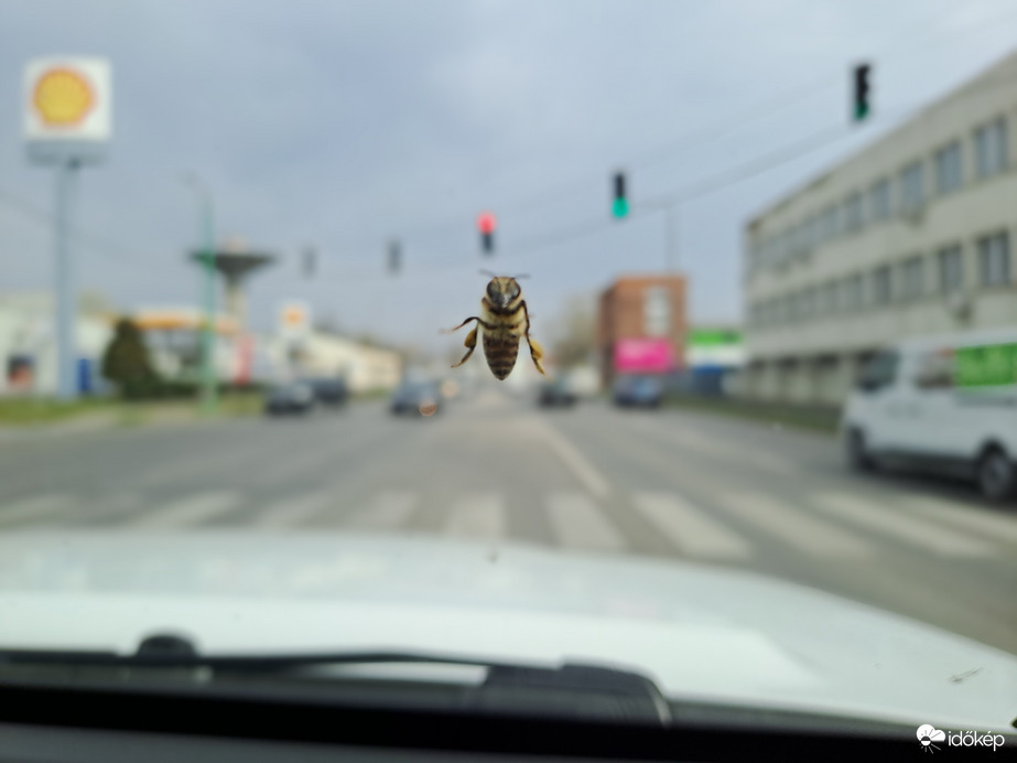 Jön a tavasz.