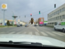 Jön a tavasz.