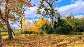 Budapest XIII.ker - Angyalföld