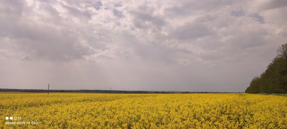 Daruszentmiklós