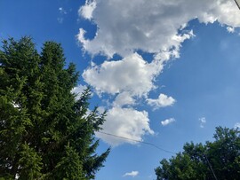 Farkasgyepű