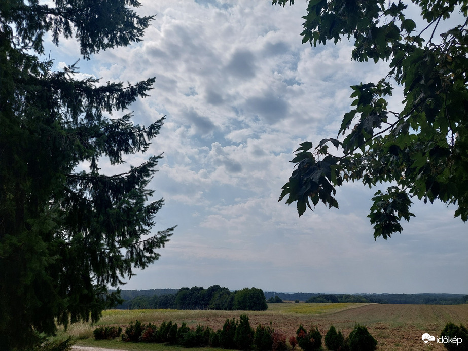 Farkasgyepű
