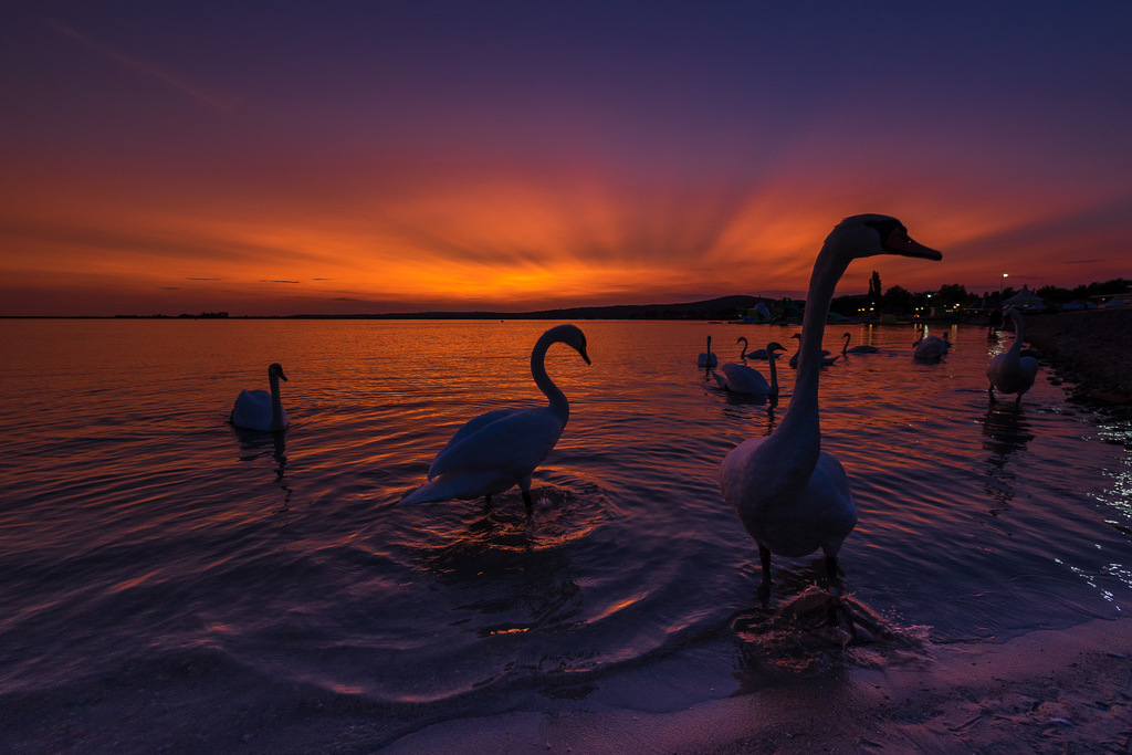 -Hé te, van egy kis kenyered? Buszjegyre kell!
