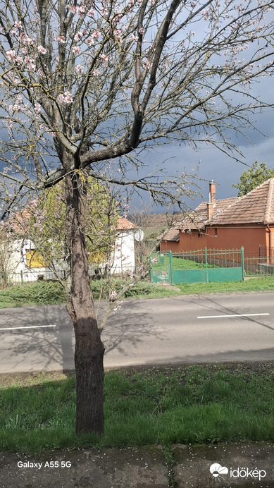 Nagykökényes