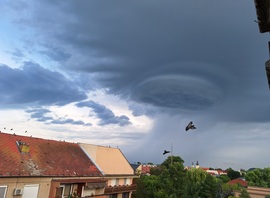 Kisvárda