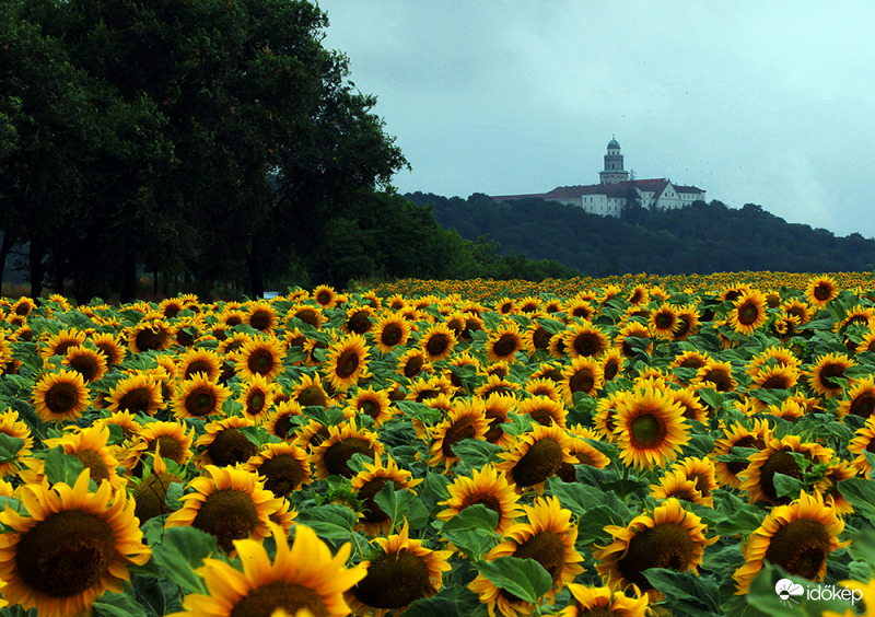 Pannonhalma 