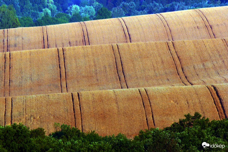 varázsszőnyeg