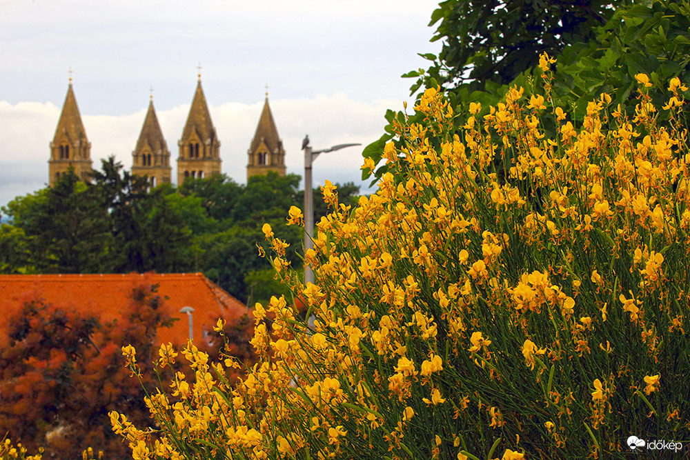 Pécs