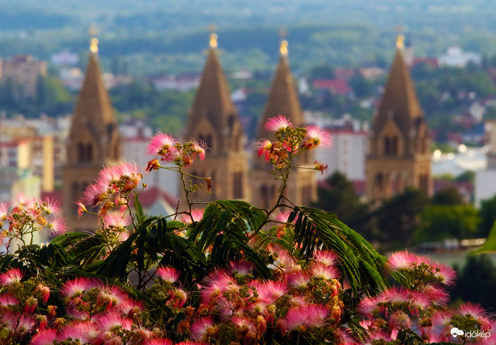 Pécs