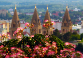 Pécs