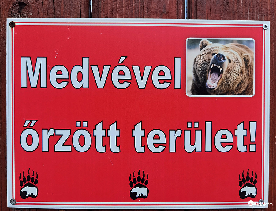 Erdélyben 