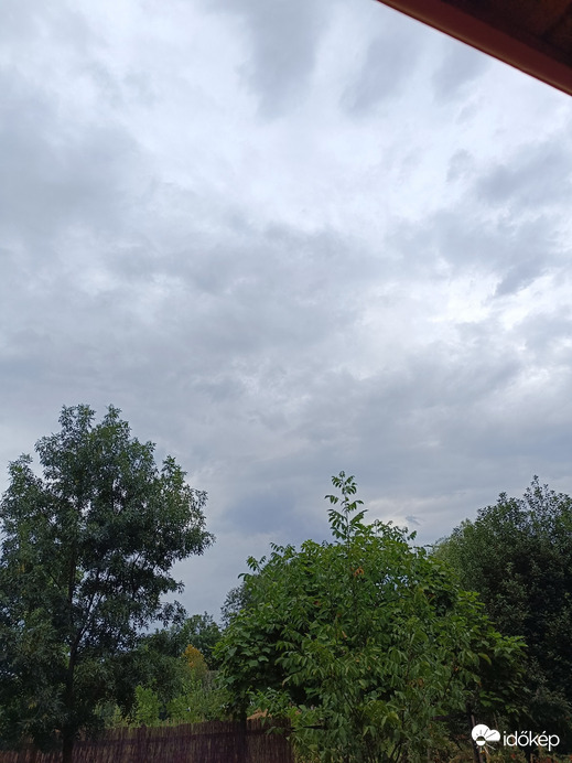 Füzesgyarmat