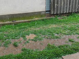 Balatonújlak
