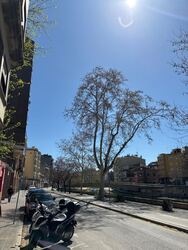 Girona