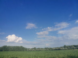 Solt