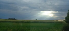 Bakonyszentkirály