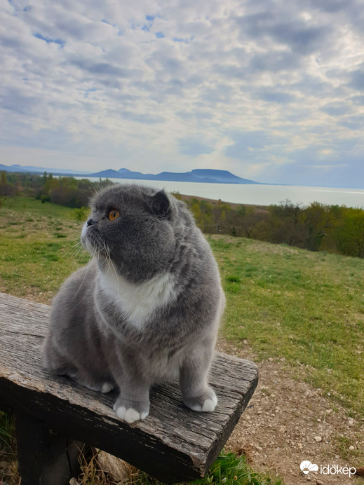 Nekem a Balaton...