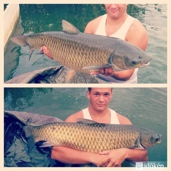 19,2kg-os torpedó :)