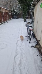 Budapest XXII.ker - Budatétény