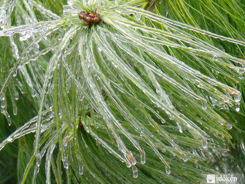 Jánoshalma Ónos eső