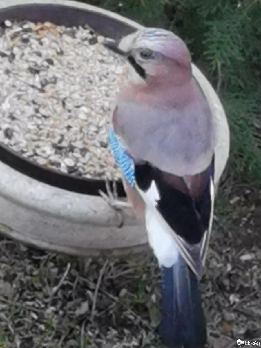 Budapest XII.ker - Zugliget