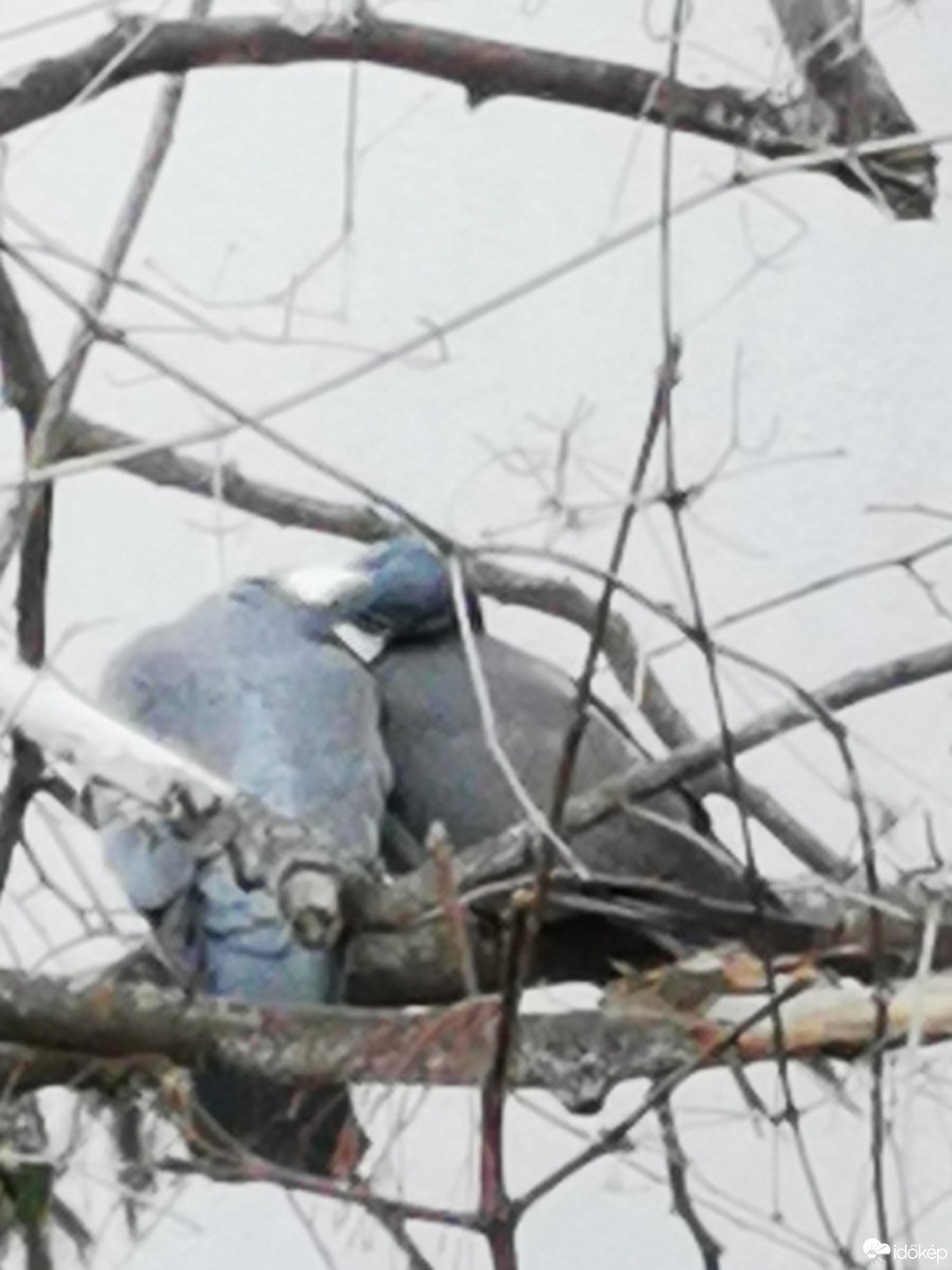 Budapest XII.ker - Zugliget