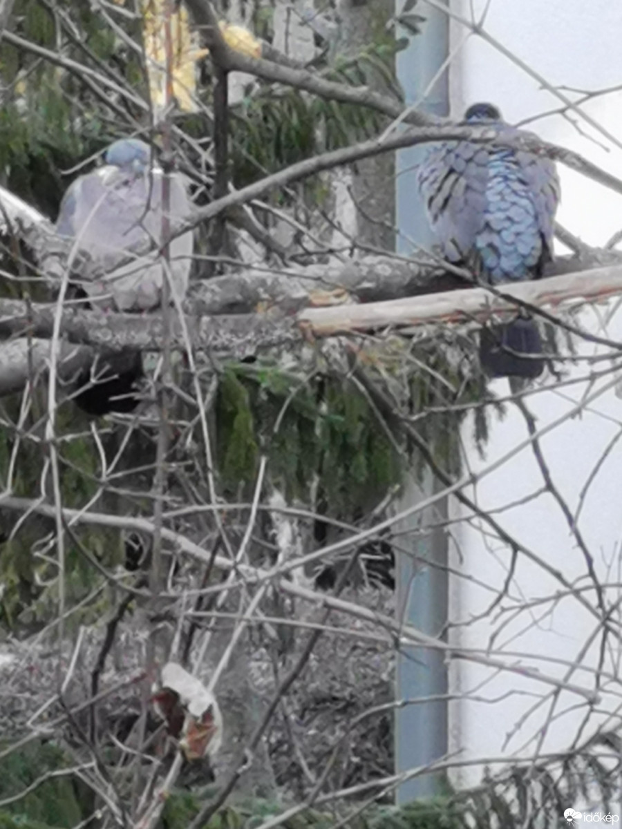 Budapest XII.ker - Zugliget