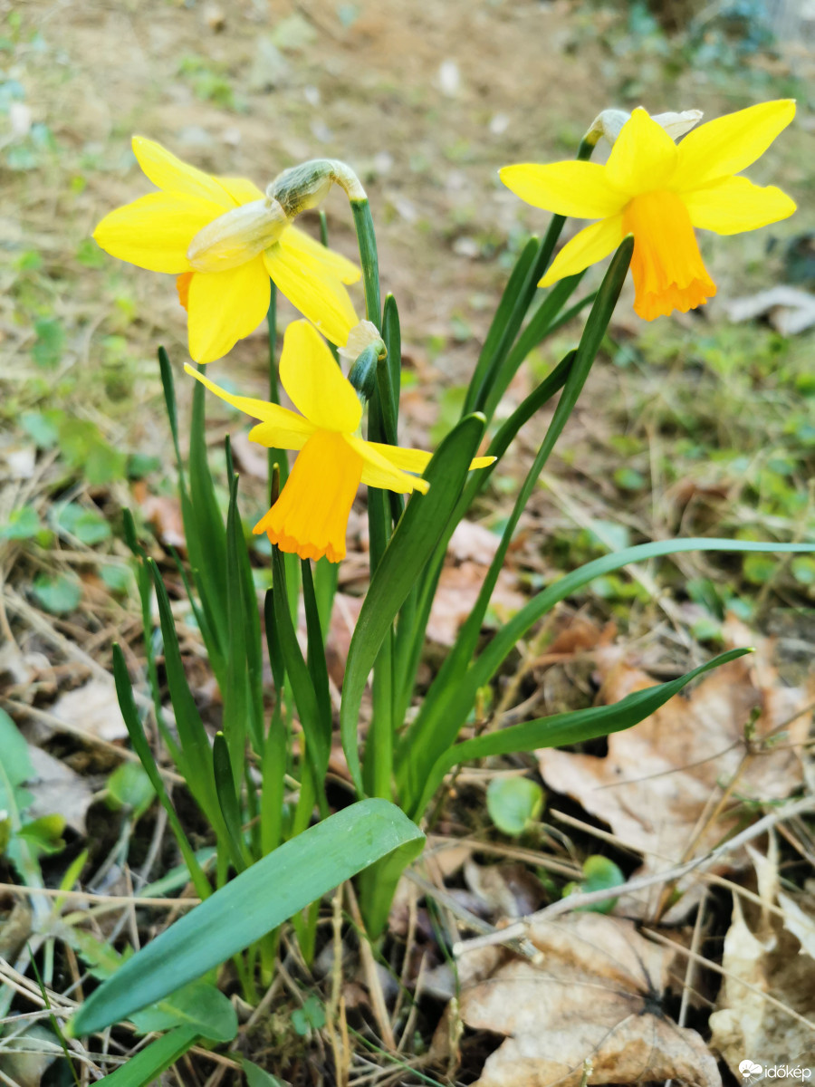 Budapest XII.ker - Zugliget