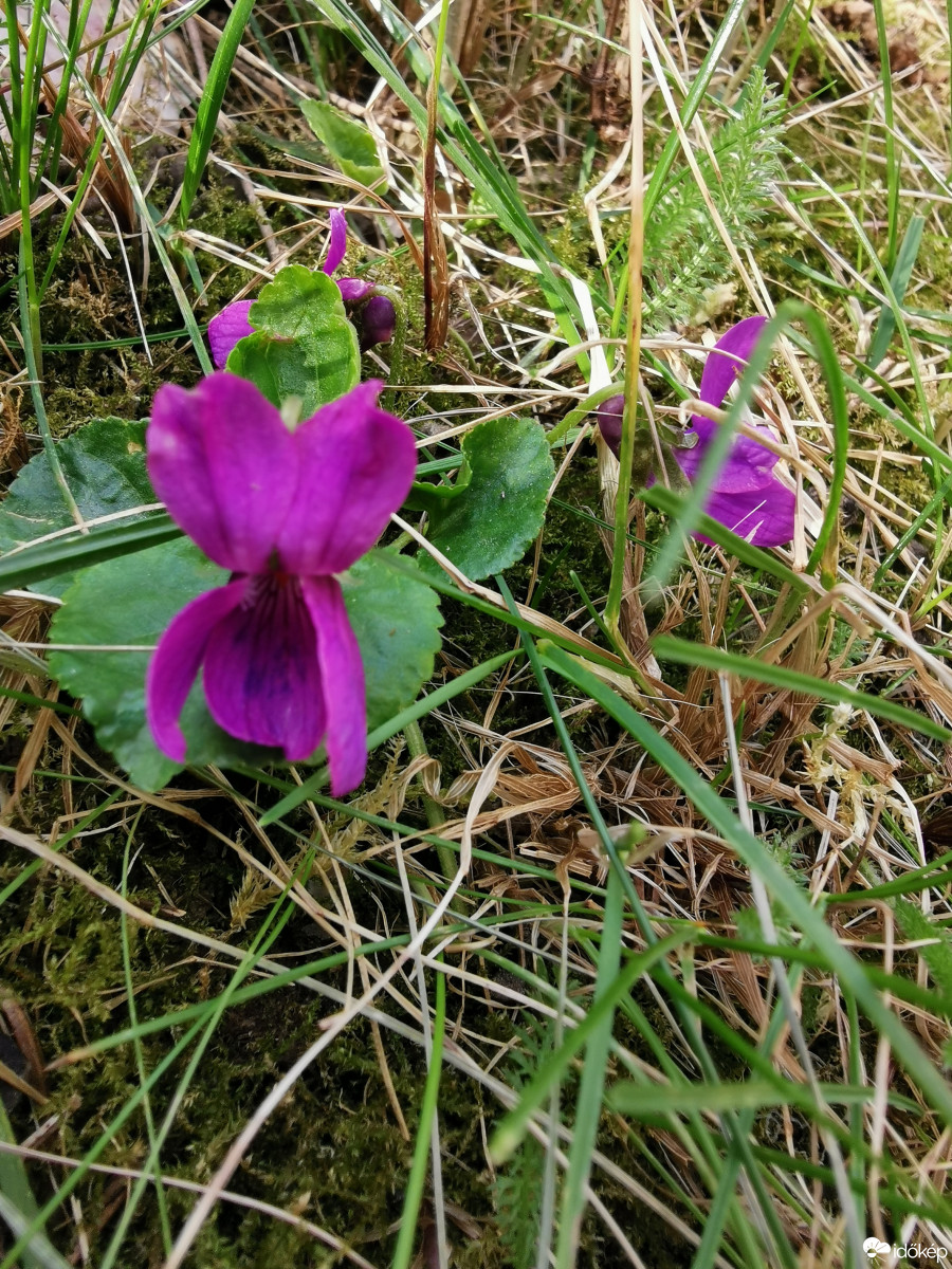 Budapest XII.ker - Zugliget