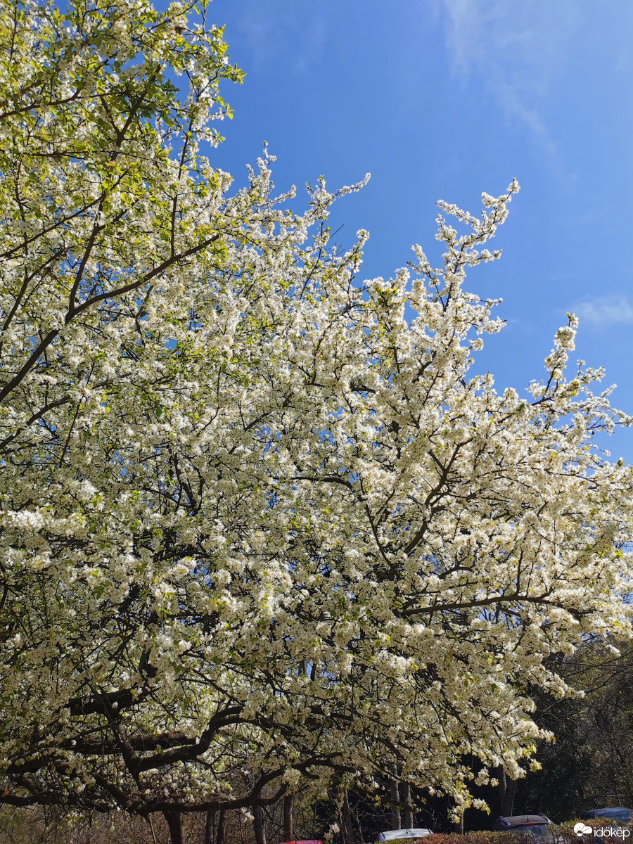 Budapest XII.ker - Zugliget