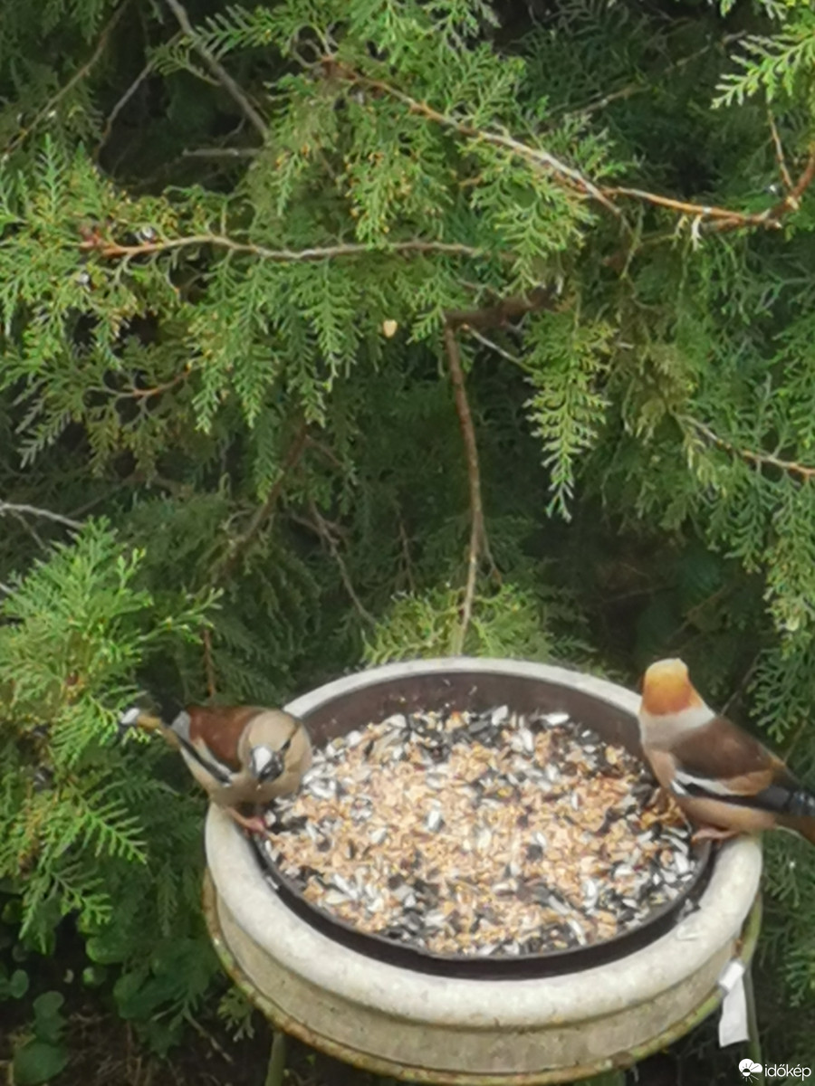 Budapest XII.ker - Zugliget