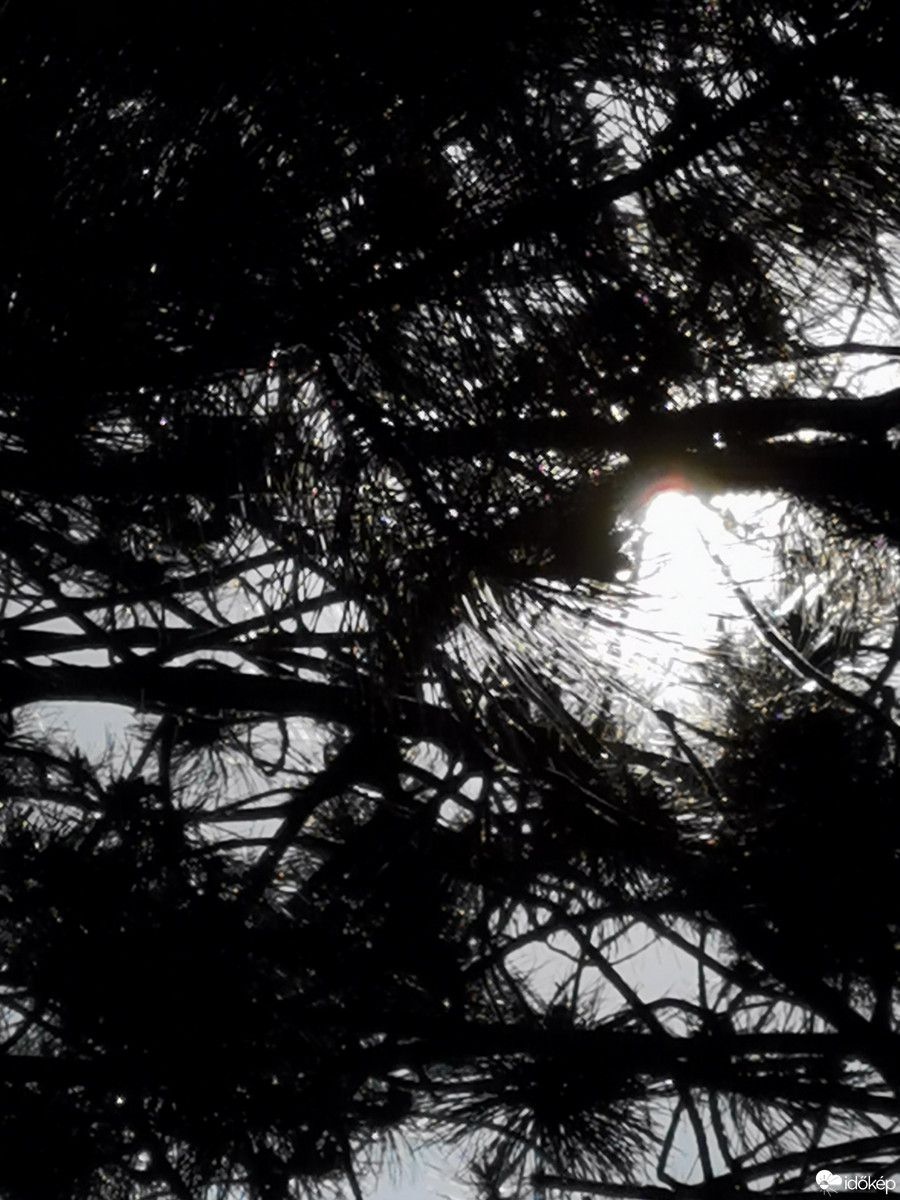 Budapest XII.ker - Zugliget