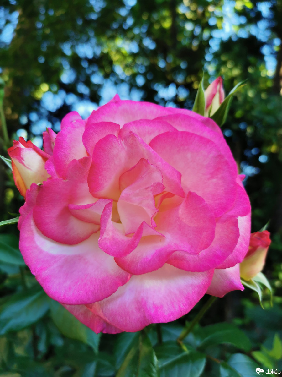 Budapest XII.ker - Zugliget