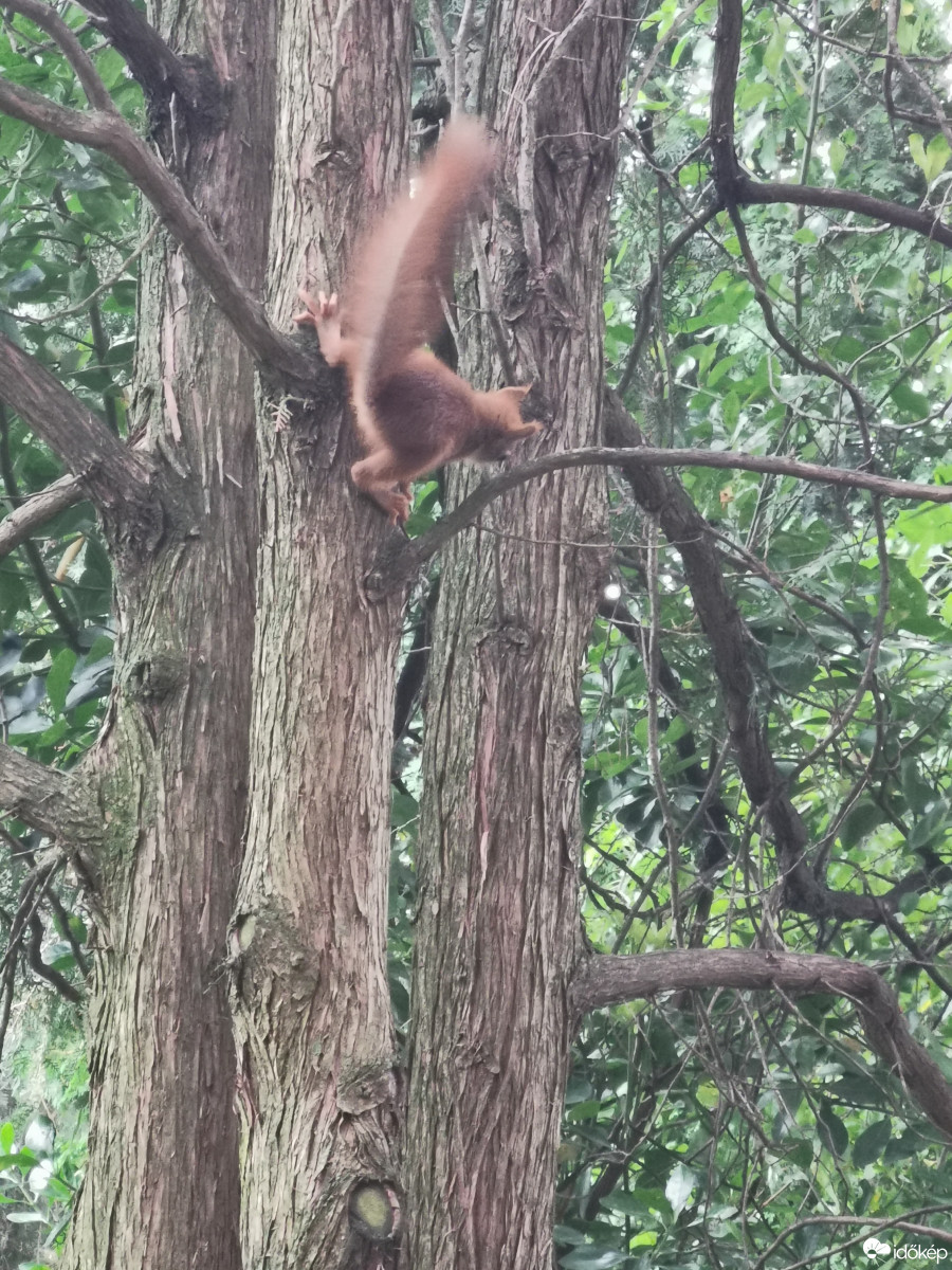 Budapest XII.ker - Zugliget