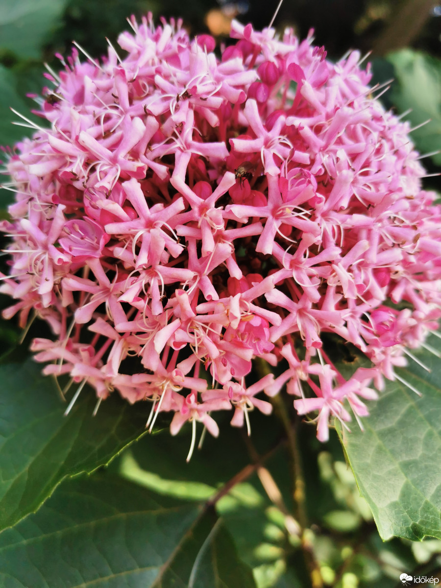 Budapest XII.ker - Zugliget