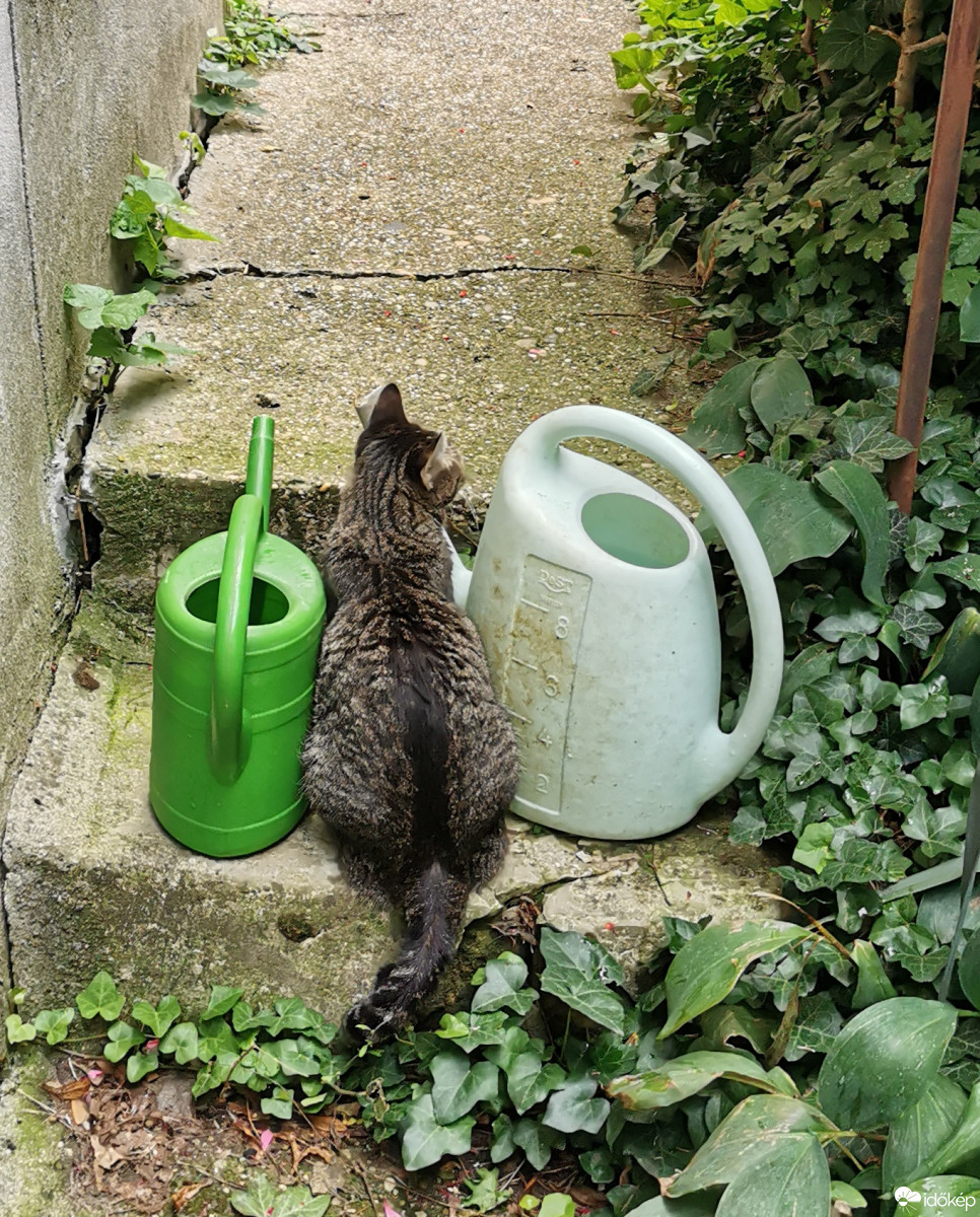 Budapest XII.ker - Zugliget