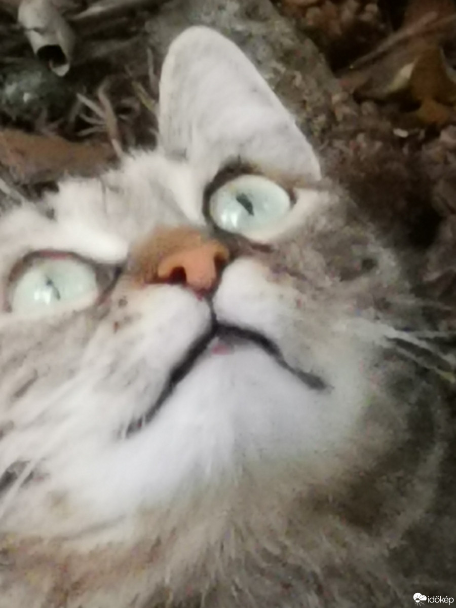 Budapest XII.ker - Zugliget