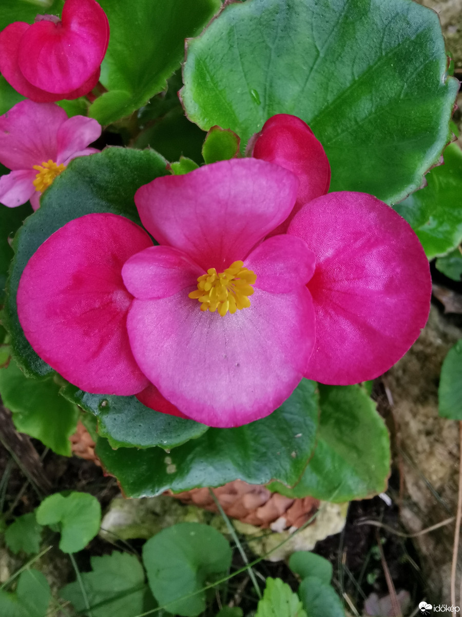 Budapest XII.ker - Zugliget