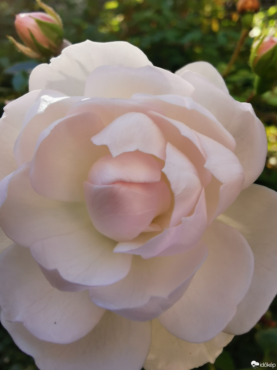 Budapest XII.ker - Zugliget