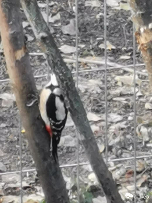 Budapest XII.ker - Zugliget