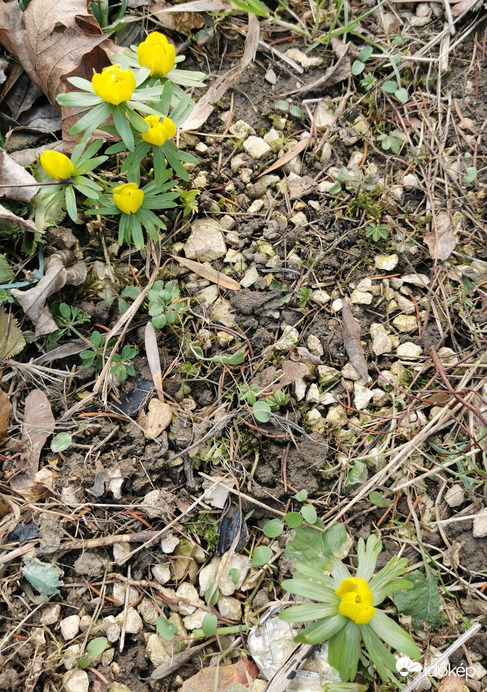 Budapest XII.ker - Zugliget