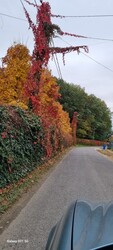 Debrecen-Józsa