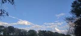 Tiszasüly